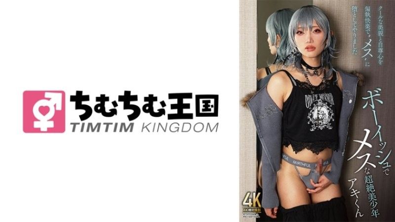 阿基君，一个既有男孩气又有女孩气的帅气男孩（TIMD-032）