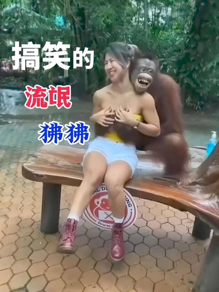 流氓狒狒一天调戏几百个游客