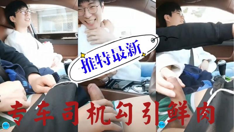 推特专车司机勾引鲜肉调情口交自慰露出视频