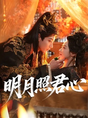 明月照君心