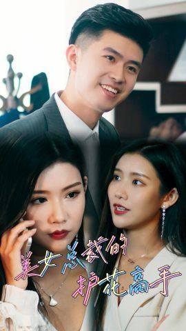 美女总裁的护花高手