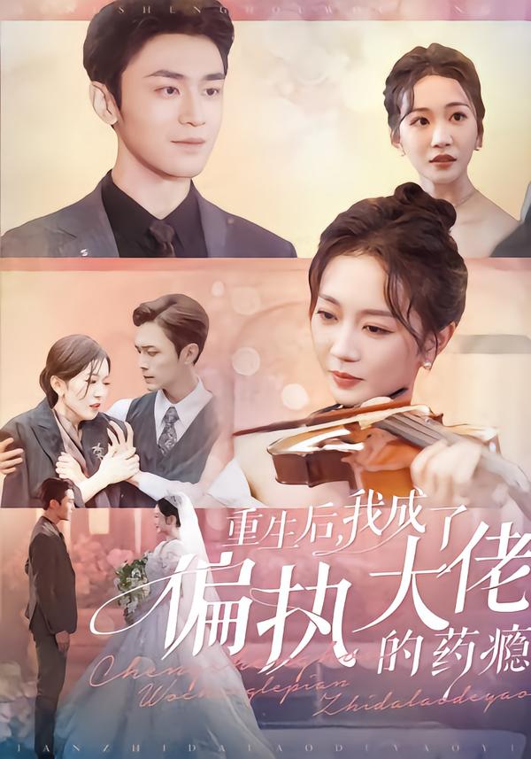 重生后，我成了偏执大佬的药瘾
