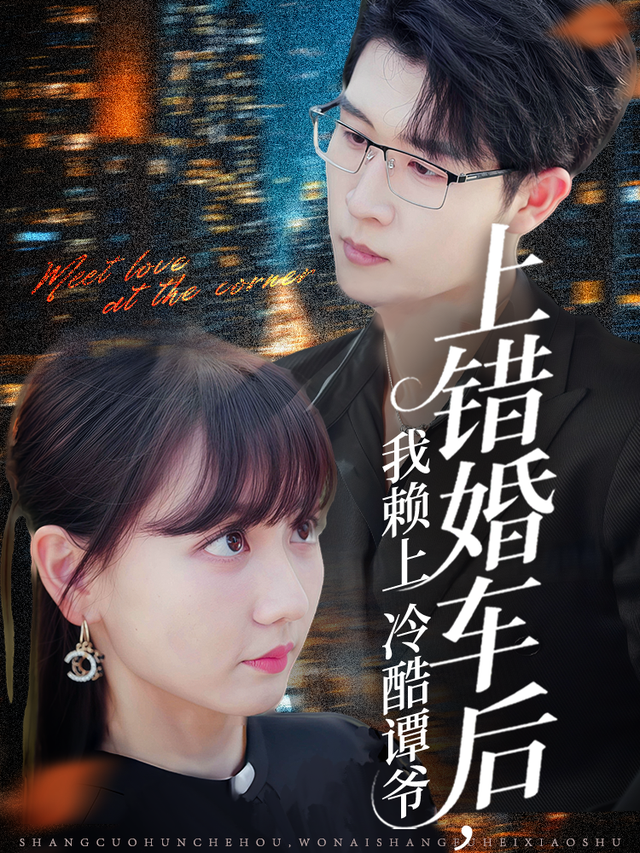 上错婚车后，我赖上冷酷谭爷