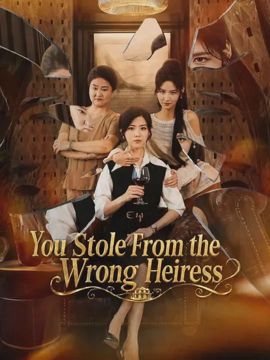 You Stole From the Wrong Heiress Dubbed