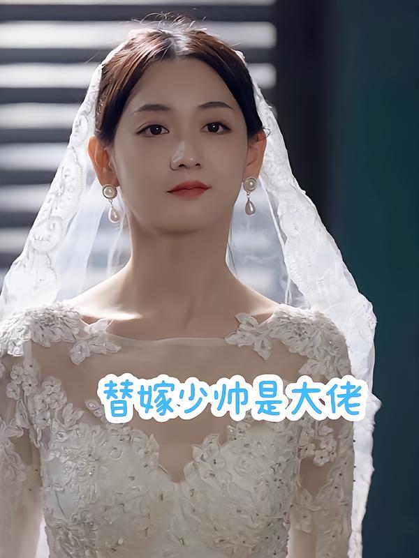 替嫁少帅是+$大佬