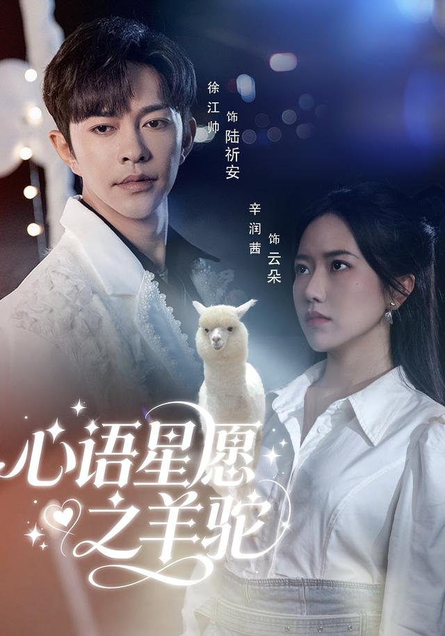 心语星愿之羊驼