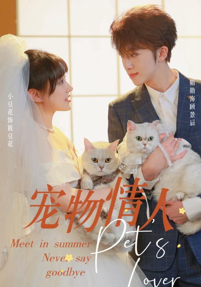 宠物情人