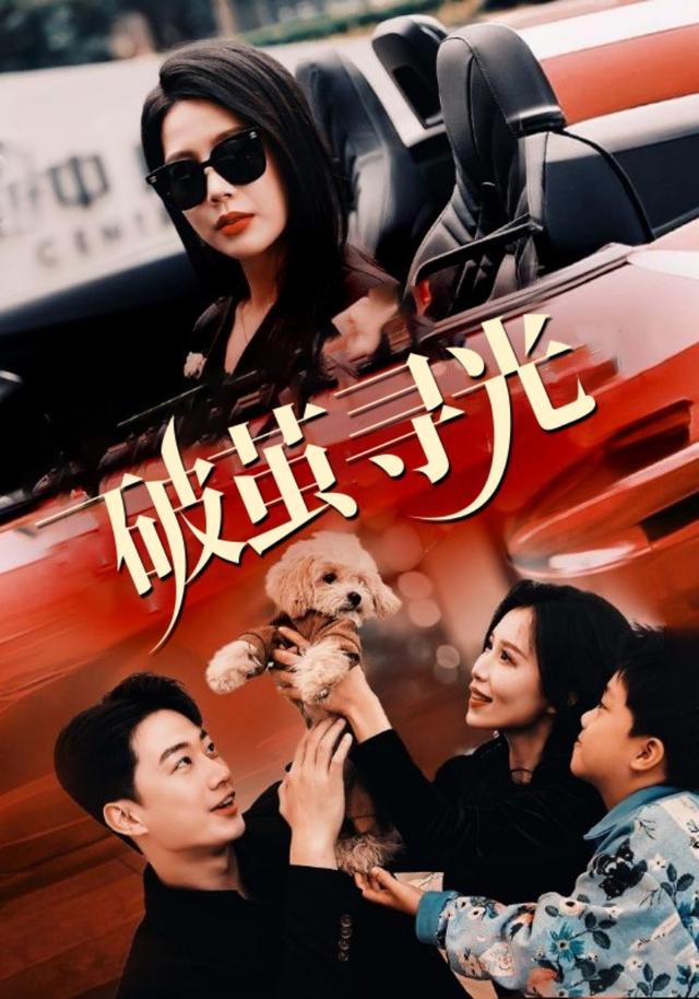 破茧寻光