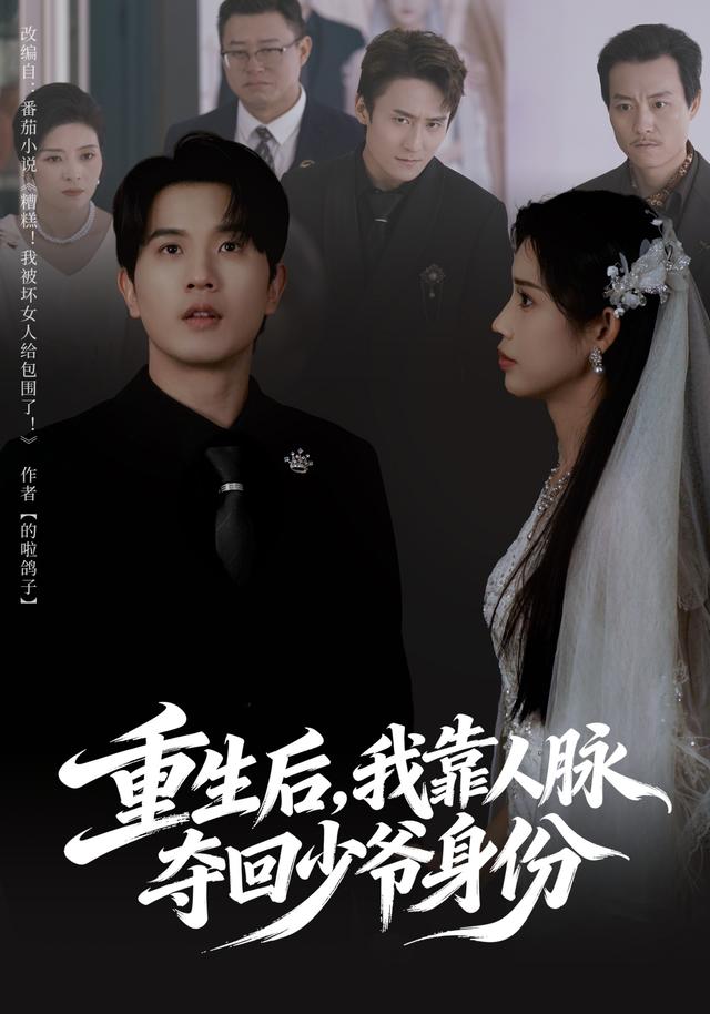 重生后，我靠人脉夺回少爷身份