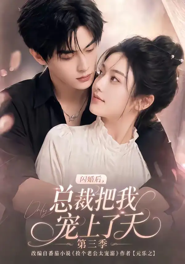 闪婚后:/，总裁把我宠上了[天第三季
