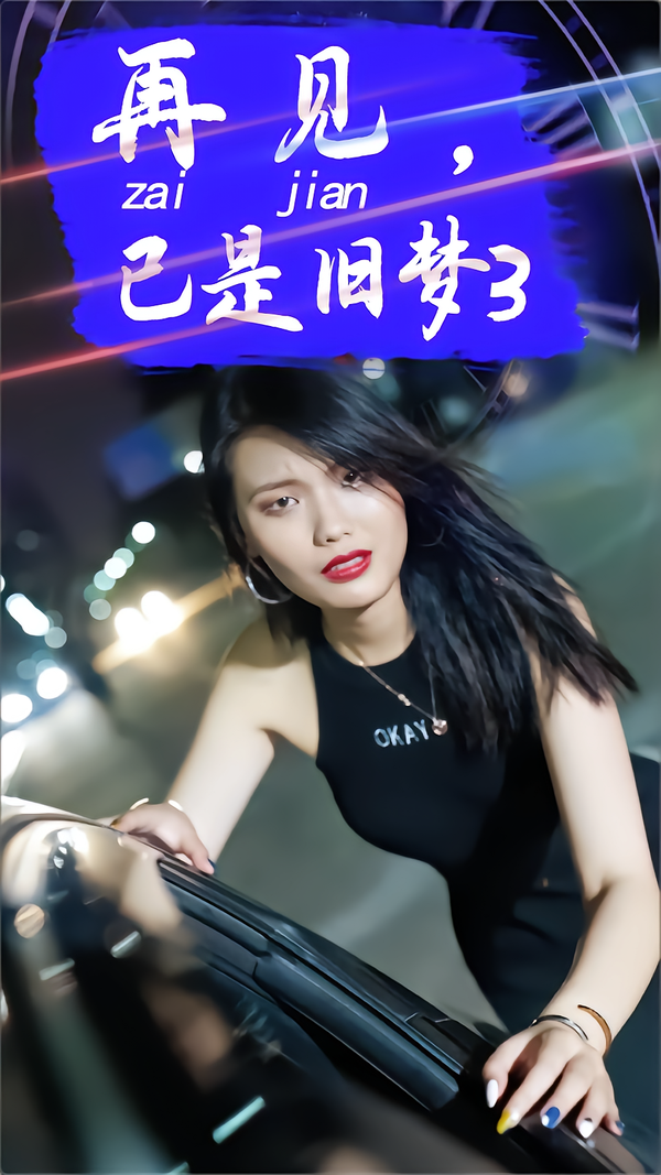 再见，已是旧梦3