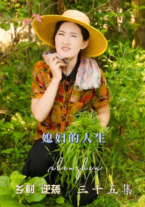 媳妇的人生