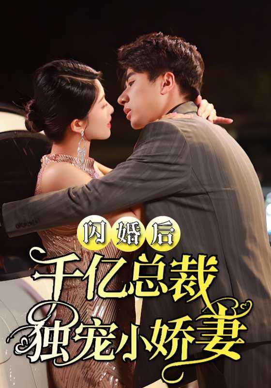闪婚后千亿总裁独宠小娇妻