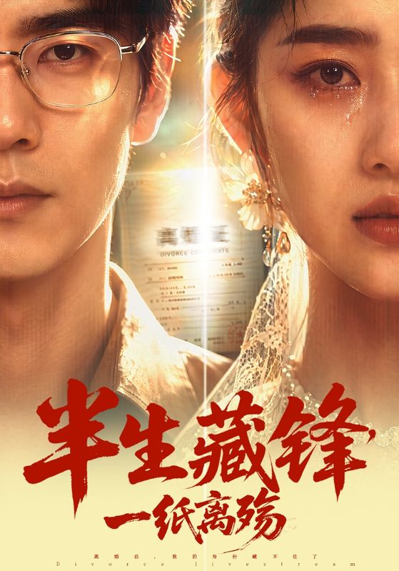 半生藏锋，一纸离殇