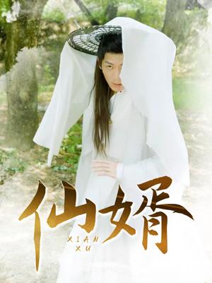 仙婿