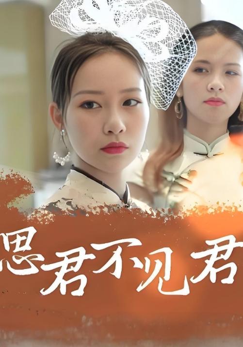思君不见君