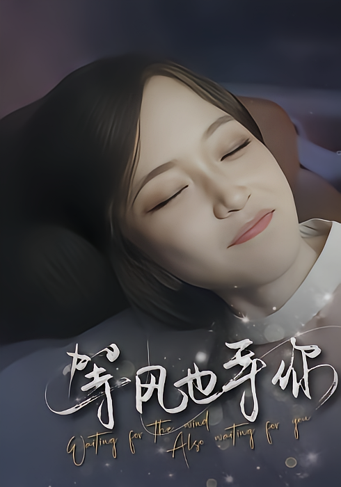 等风也等你