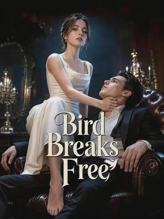 Bird Breaks Free