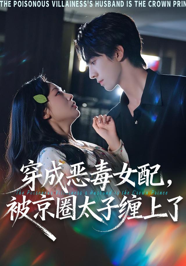 穿成恶毒女配，被京圈太子缠上了