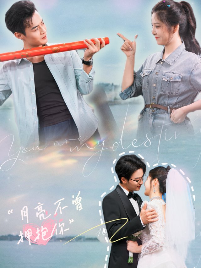 月亮不曾拥抱你