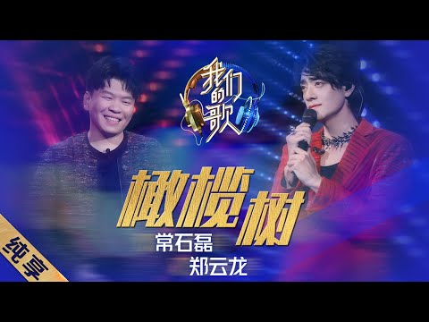 橄榄树-郑云龙/常石磊