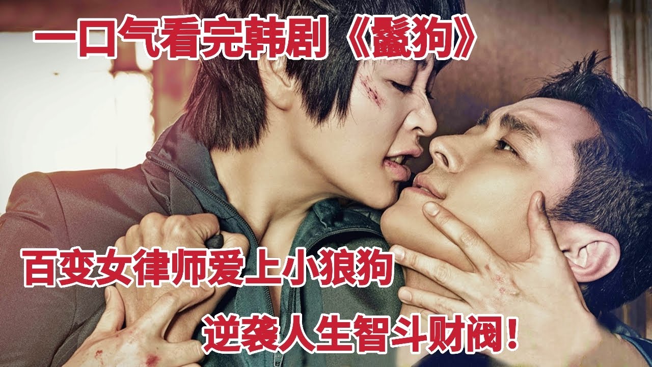 一口气看完百变魔女律师爱上小狼狗，逆袭人生智斗财阀！《鬣狗》