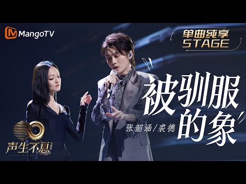 被驯服的象-张韶涵/裘德