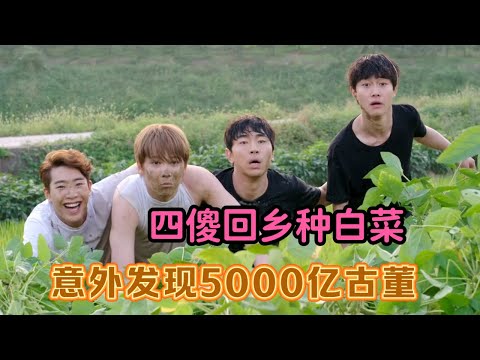 一口气看爆笑种田韩剧！四傻回乡种白菜，意外发现5000亿古董，逆袭人生！《摩登农夫》