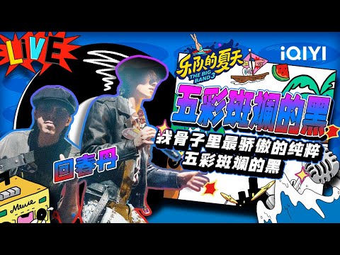五彩斑斓的黑-回春丹