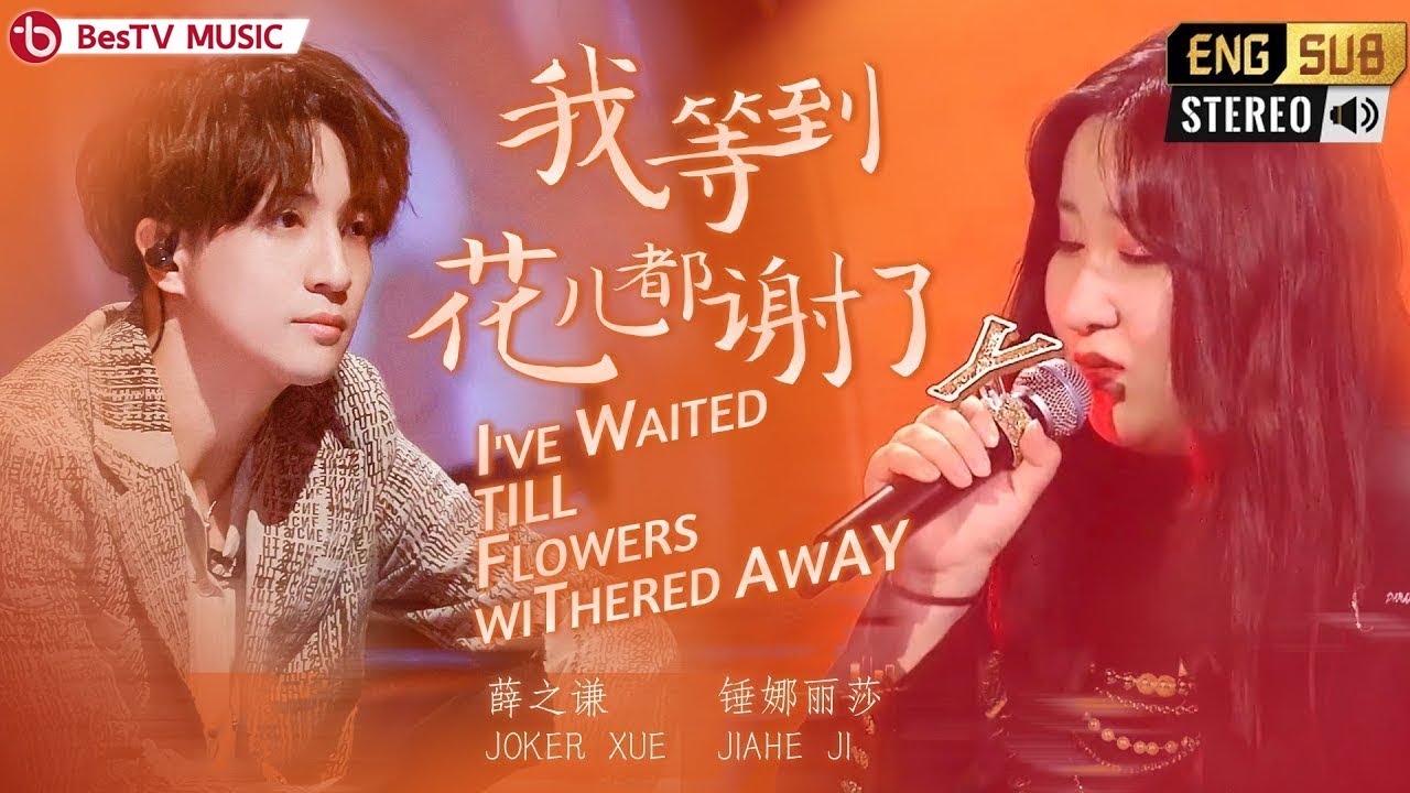 我等到花儿也谢了-薛之谦/锤娜丽莎