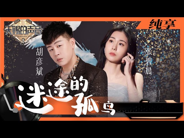 迷途的孤鸟-胡彦斌/张碧晨
