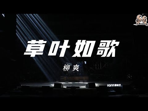 草叶如歌-柳爽
