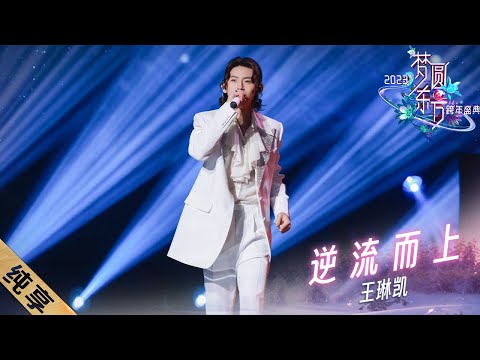 逆流而上-王琳凯