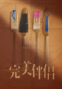 完美伴侣网络版