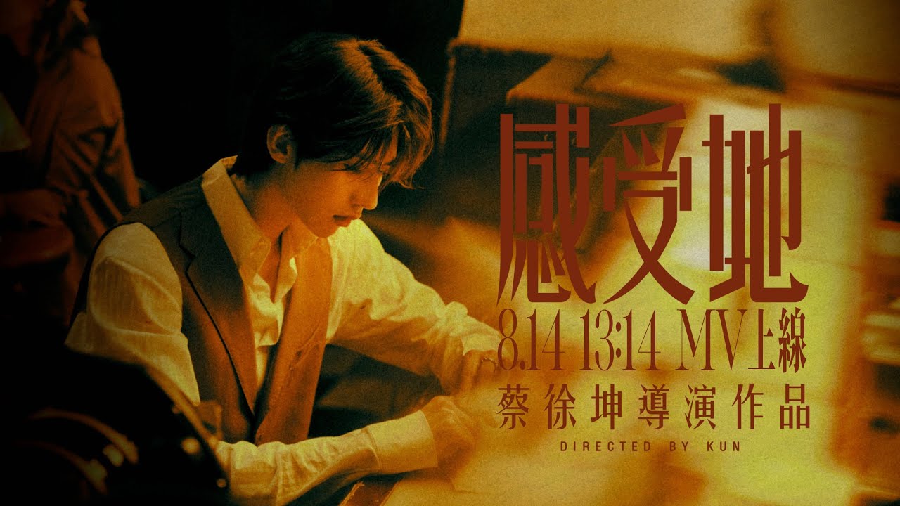 感受她-蔡徐坤