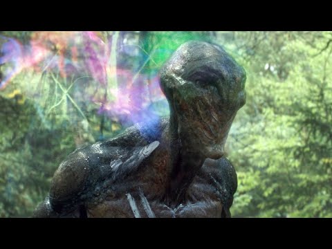 人类星际移民，遇到外星生物，所有女性均被杀死！《混沌行走》