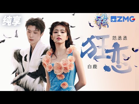 狂恋-白鹿/范丞丞