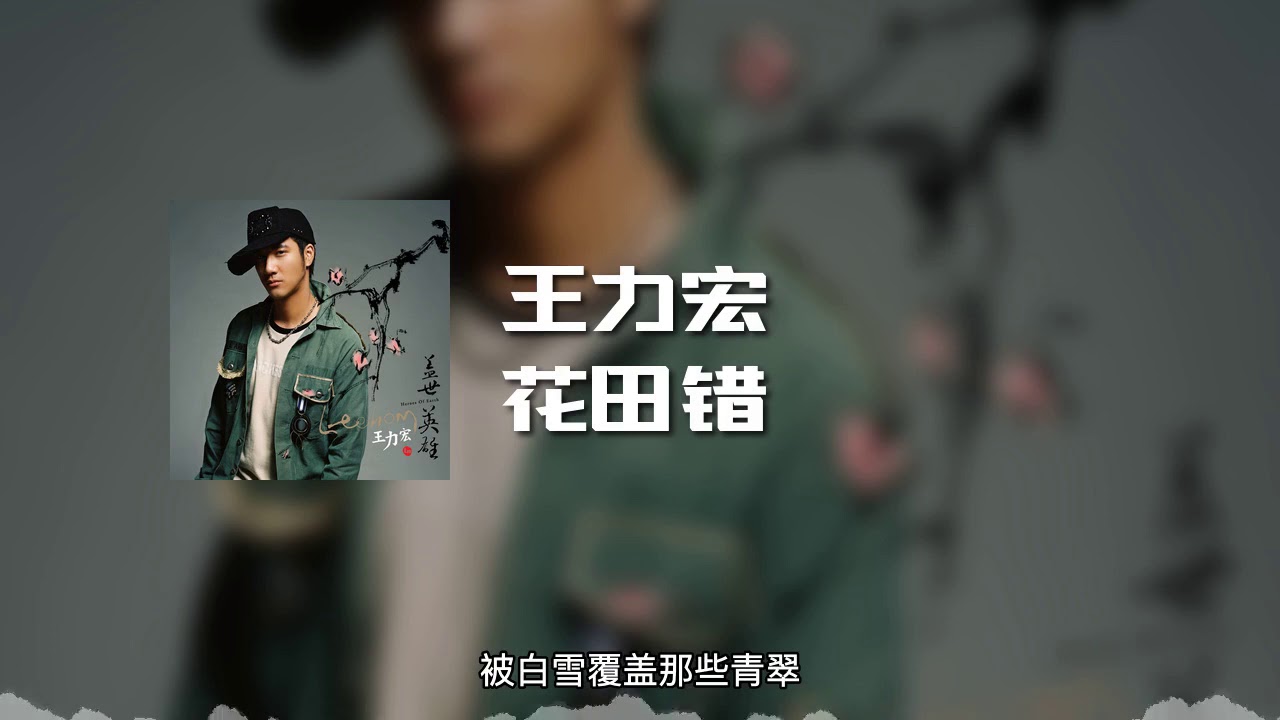 花田错-王力宏