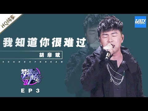 我知道你很难过-胡彦斌