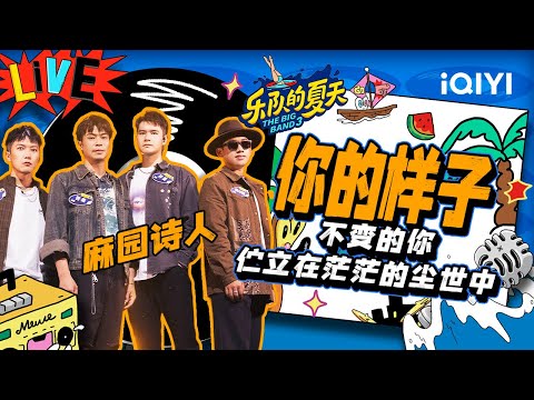 你的样子-麻园诗人