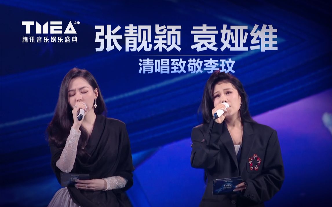 想你的365天-袁娅维/张靓颖
