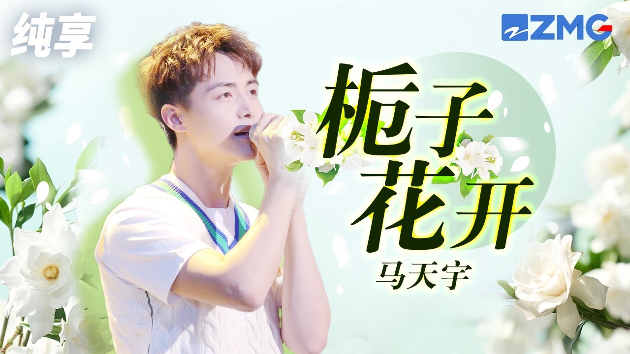 栀子花开-马天宇