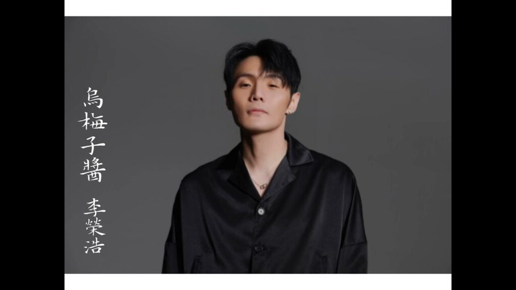 乌梅子酱-李荣浩