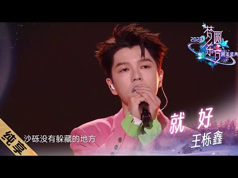 就好-王栎鑫