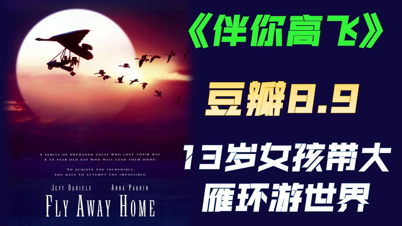 豆瓣8.9分，光看题材就想打满分，愿意拍这类电影的“傻子”不多了！速看《伴你高飞》