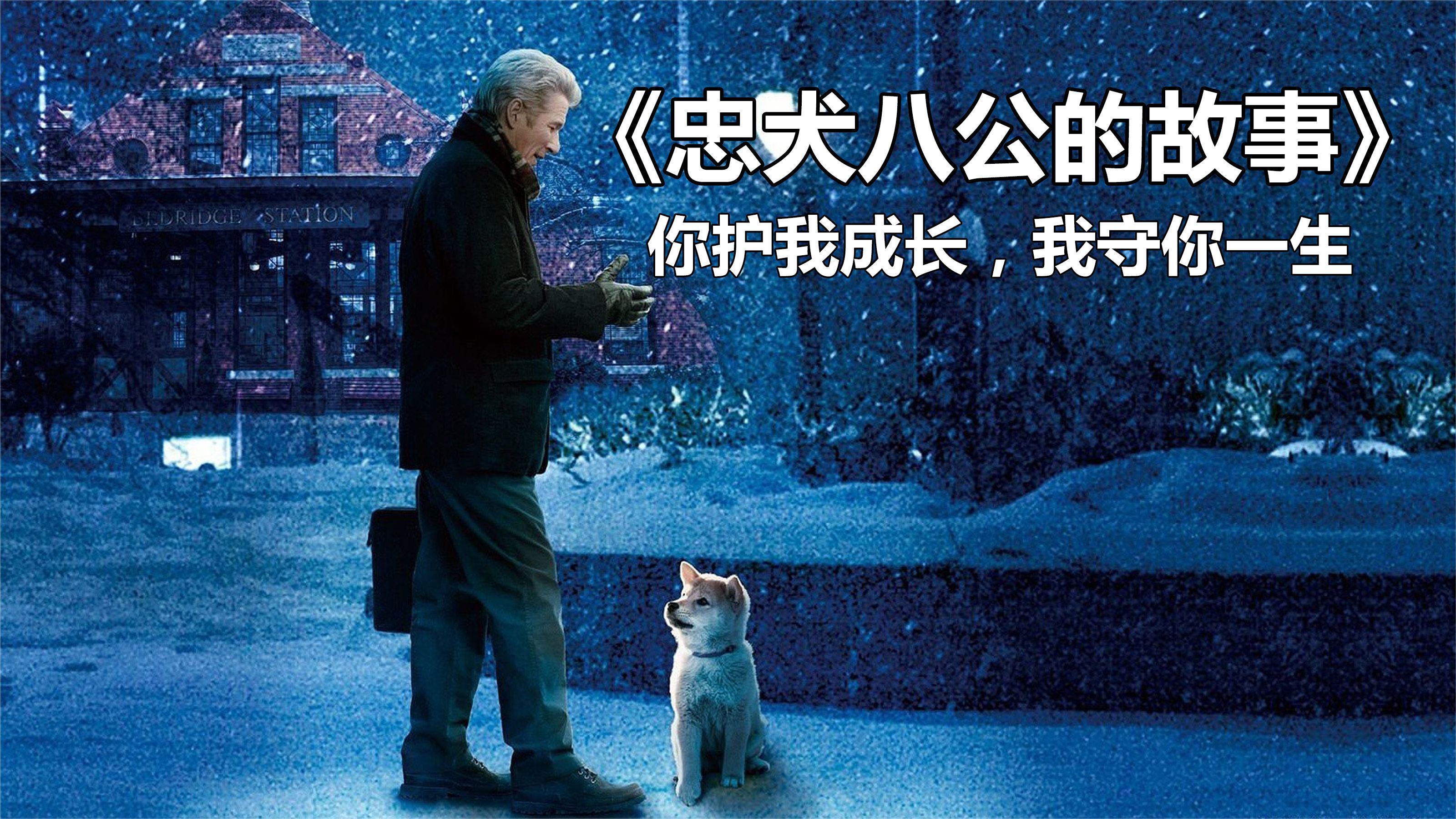 由于主人意外离世，狗狗在车站等了十年，一部看哭无数人的经典电影
