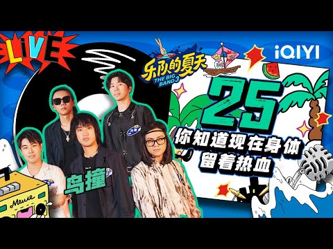 25-鸟撞