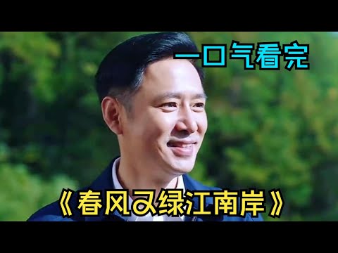 底层官员为了掩盖，竟然用石头堵住上级考察组的路丨一口气看完扫黑《春风又绿江南岸》