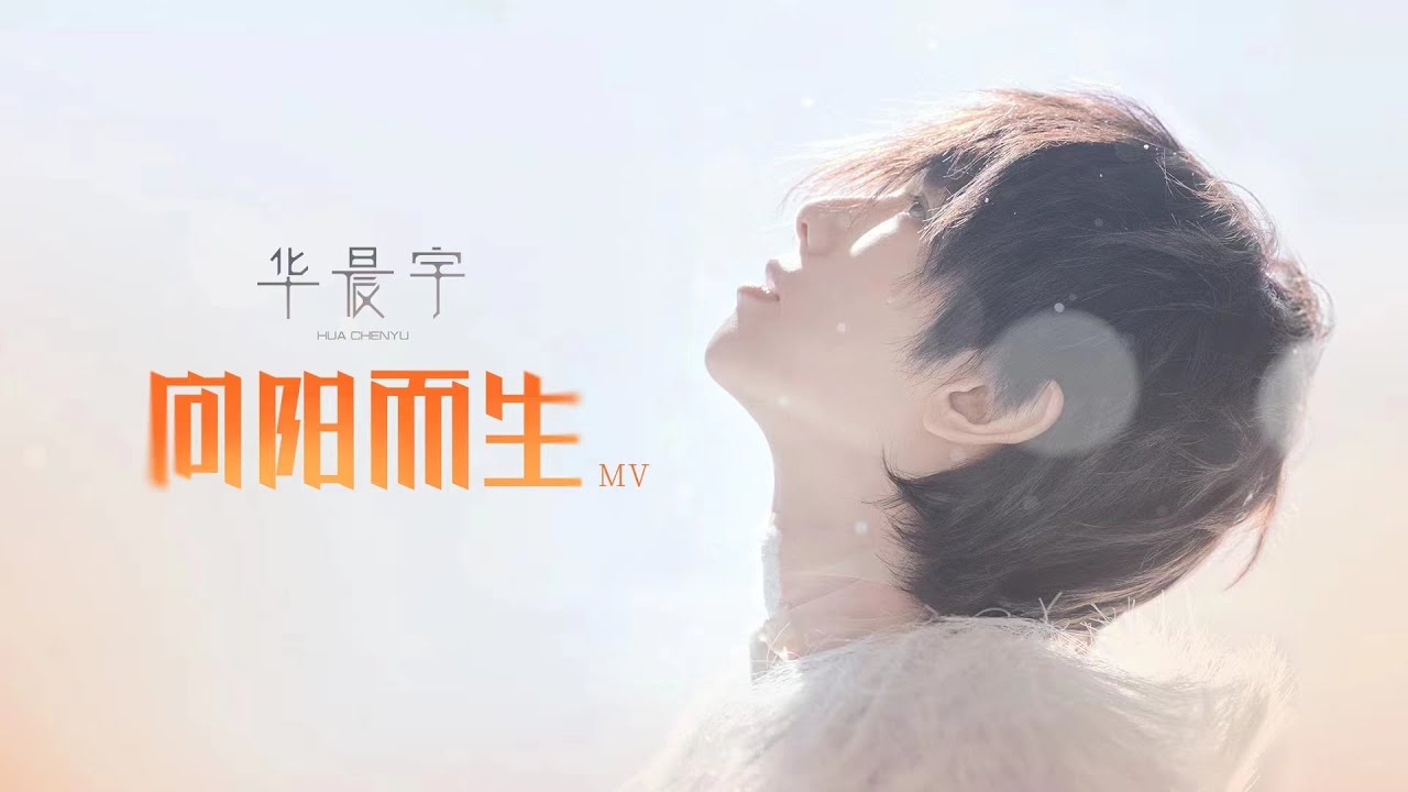 向阳而生-华晨宇