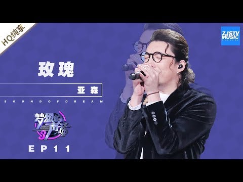 玫瑰--亚森